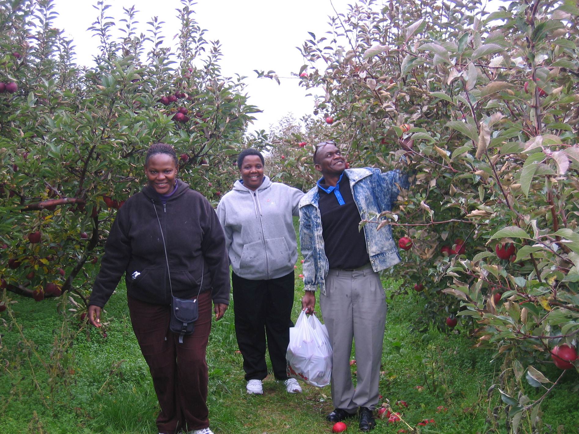 Fogarty Fellows apple picking in Michigan